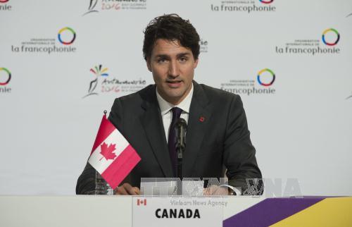 Thủ tướng Canada sẽ không dự Diễn đàn Kinh tế Davos ảnh 1
